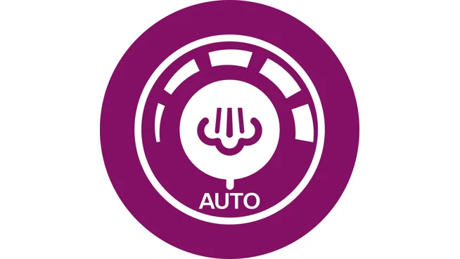 Automatisk ångjustering