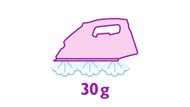 Steam up to 30&nbsp;g/min