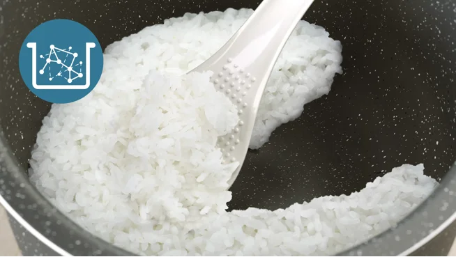 Bakuhanseki coating