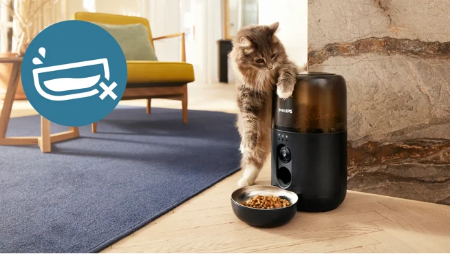 Bestand tegen kattenpootjes