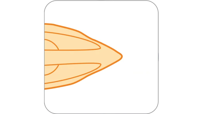 Slim tip soleplate